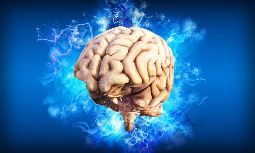 brain-4314636_1280